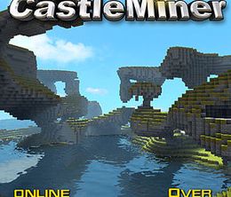 image-https://media.senscritique.com/media/000017463924/0/castleminer.jpg