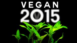 Vegan 2015