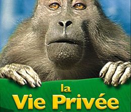 image-https://media.senscritique.com/media/000017464204/0/la_vie_privee_des_animaux.jpg