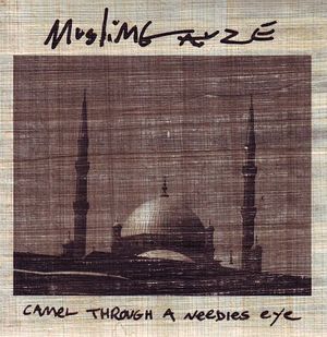 Camel Through a Needles Eye