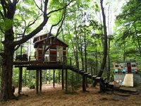 La cabane de mon enfance