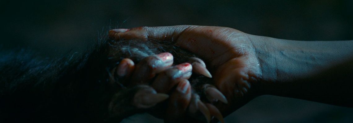 Cover Les Bonnes Manières