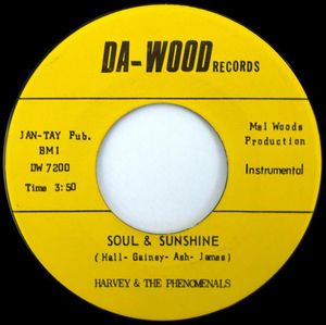 Soul & Sunshine / What Can I Do (Single)