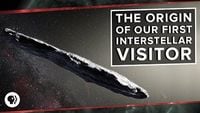 The Origin of Our First Interstellar Visitor