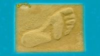 Stone Footprint