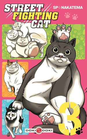 Street Fighting Cat, Tome 3
