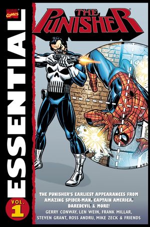 Essential Punisher Volume 1