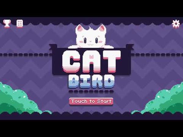 Cat Bird