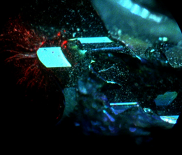 image-https://media.senscritique.com/media/000017483267/0/prisms.png