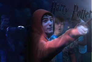 Harry Potter et l'amour de Harry Potter