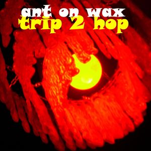 Trip 2 Hop