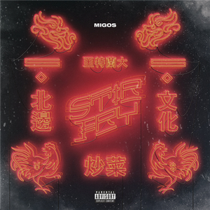 Stir Fry (Single)