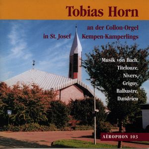 Tobias Horn an der Collon-Orgel in St. Josef Kempen-Kamperlings