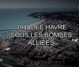 image-https://media.senscritique.com/media/000017498080/0/1944_le_havre_sous_les_bombes_alliees.png