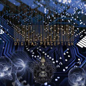 Digital Perception