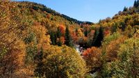 Smoky Mountains