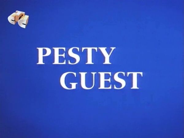 Pesty Guest