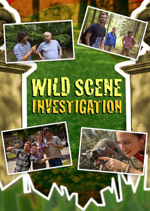 Wild Scene Investigation