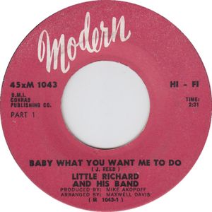 Baby What You Want Me to Do (Single)