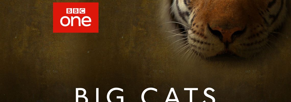 Cover Big Cats