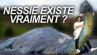 NESSIE EXISTE VRAIMENT ? Vrai ou Faux #57