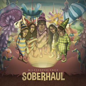 Soberhaul