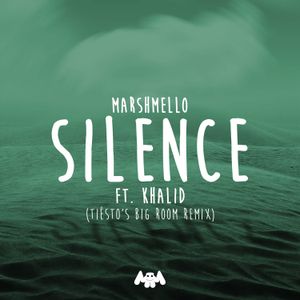 Silence (Tiësto’s Big Room remix)