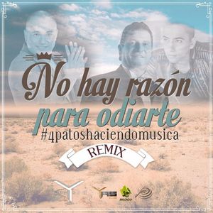 No hay razón para odiarte (remix)