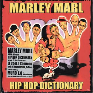 Hip Hop Dictionary Introduction