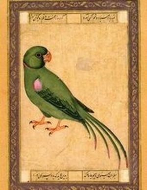 Touti-Nameh, ou les Contes du perroquet