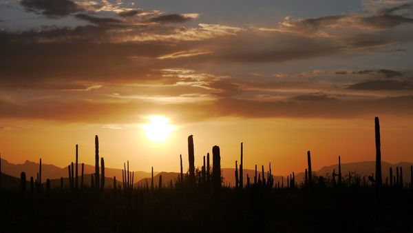 Wild West: America's Great Frontier