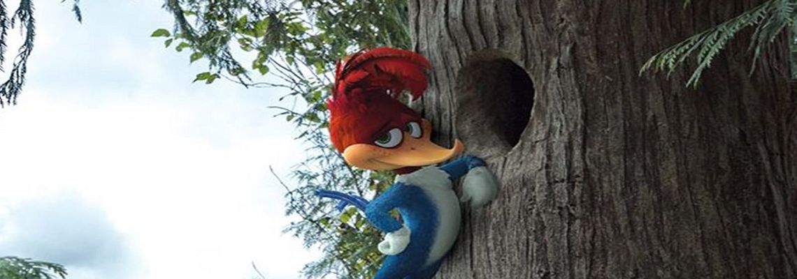 Cover Woody Woodpecker