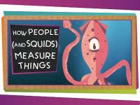 How People (And Squids) Measure Things