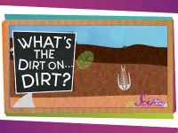 What's the Dirt on ... Dirt?