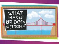 What Makes Bridges So Strong?