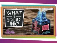 What is Squid Ink?