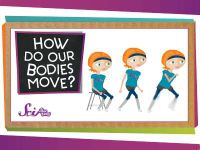 How Do Our Bodies Move?