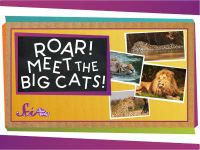 Roar! Meet the Big Cats!