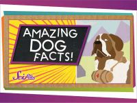 3 Amazing Facts About Dogs!