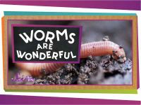 Worms Are Wonderful