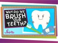 Why do We Brush Our Teeth?