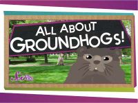 Fun Facts About Groundhogs!