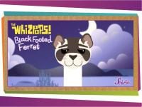 Whizpops! Black Footed Ferret Music Video