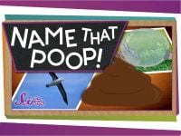 Name That Poop!