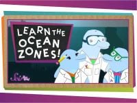 Let's Learn the Ocean Zones!