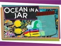 Make the Ocean in a Jar!