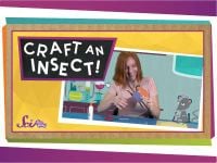 Craft an Insect!