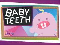 Why Do We Have Baby Teeth?