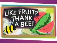 Like Fruit? Thank a Bee!