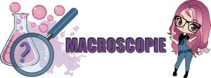 Macroscopie